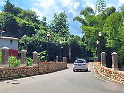 Carretera PR-518, Adjuntas, Puerto Rico (1).jpg
