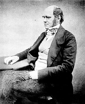 Archivo:Charles Darwin aged 51