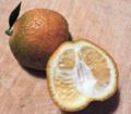 Chinotto from Sicily