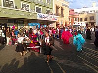 Archivo:Desfile "Magia de los Carnavales de Hidalgo" en Pachuca de Soto (2018). 151