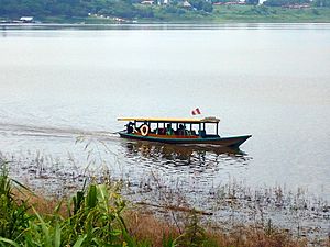 Archivo:El Peke peke en la laguna Yarinacocha