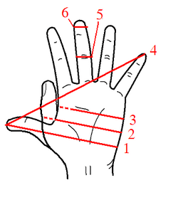 Archivo:Hand Units of Measurement