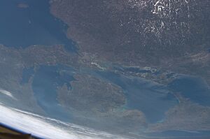 ISS015-E-6196 - View of Michigan.jpg