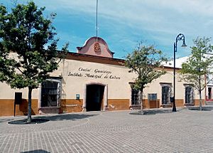 Archivo:Instituto Cultura Guadalupe (Zacatecas)