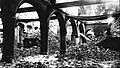 Interior of the Famous Library at Louvain destroyed during World War I