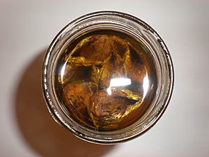 Archivo:Jar of Spanish-style sardines in corn oil