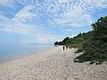 Lake Tanganyika at Gombe Stream National Park