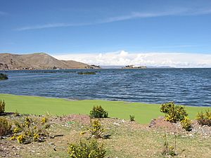 Archivo:Lake Titicaca near Puno