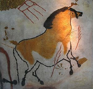 Archivo:Lascaux, horse