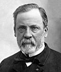 Archivo:Louis Pasteur