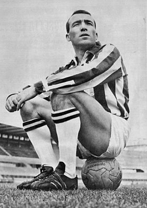 Archivo:Luis del Sol - Juventus FC 1962-63