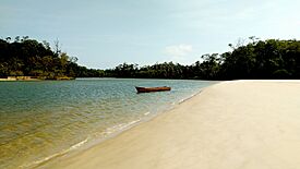 Marajó Island, Brazil (48569220542).jpg
