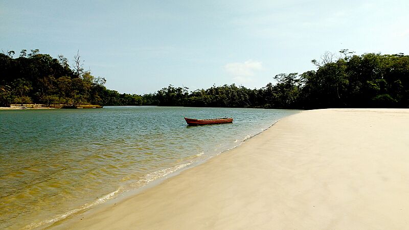 Marajó Island, Brazil (48569220542)