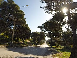 Archivo:Mellieha, Malta - panoramio (724)