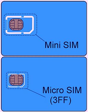 Archivo:Mini&micro SIM