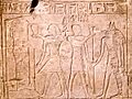 Museo Arqueológico Nacional - 1999-99-4 - Estela de Nebsumenu 02