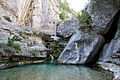 Nacimiento-pitarque