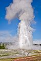 Old faithful geyser 2015