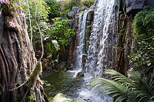 Archivo:Palma Aquarium-La jungla