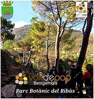 Archivo:Parc Botànic del Ribàs