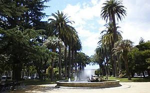 Archivo:Parque de Las Palmeras Pontevedra capital