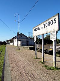 Paso de los Toros (andén de la estación).jpg