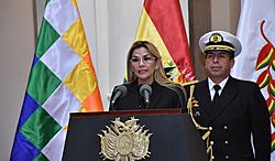 Archivo:Presidenta Áñez presenta proyecto de ley