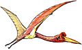 Quetzalcoatlus07