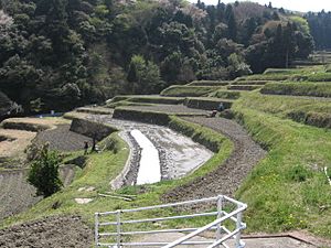 Archivo:Rice terraces-Nishihata,Ikoma