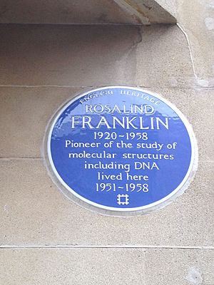 Archivo:Rosalind Franklin Blue Plaque