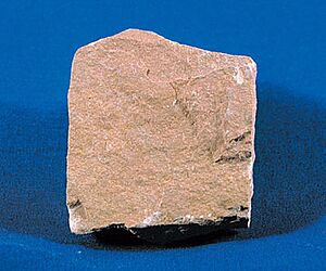 Archivo:SiltstoneUSGOV