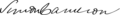 Simon Cameron Signature