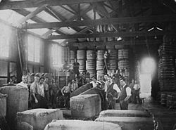 Archivo:StateLibQld 1 110900 Bales of wool inside No. 1 Dumping Shed, Mercantile Wharf, Brisbane, 1917