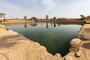 Archivo:Templo de Karnak, Luxor, Egipto, 2022-04-03, DD 156