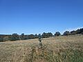 Terjat - paysage