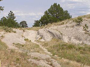 Archivo:Trail ruts State Hist site Wyoming