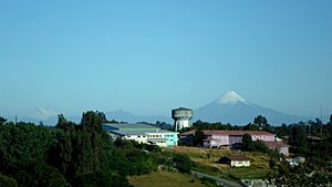 Archivo:Volcan Osorno desde Rio Negro