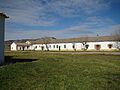 05b Sardoncillo granja lou
