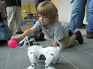 Archivo:AIBO ERS-7 following pink ball held by child