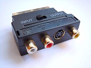 Archivo:Adattatore SCART RCA S-Video (miniDIN)