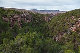 Albarracín, Teruel, España, 2014-01-10, DD 148