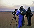 Beidaihe birdingrace team