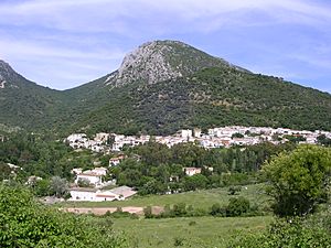Archivo:Benamahoma