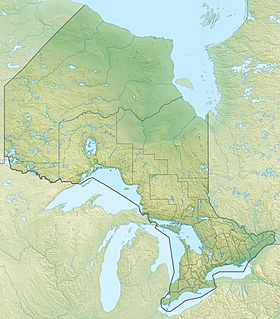 Lago de los Bosques ubicada en Ontario