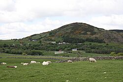 Castlewellan countryside, May 2010 (21).JPG