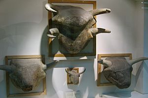Archivo:Catal Hüyük, bull heads