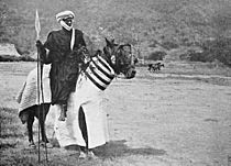 Archivo:Cavalier arabe du Dékakiré sur un cheval caparaçonné