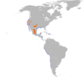 Charadrius nivosus map