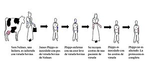 Archivo:Edward Jenner - proceso de creación y prueba de la vacuna contra la viruela