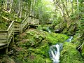 Fundy National Park of Canada 9